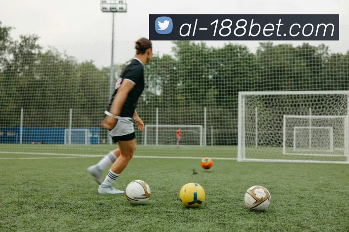 金宝博官网APP 高清赛事图